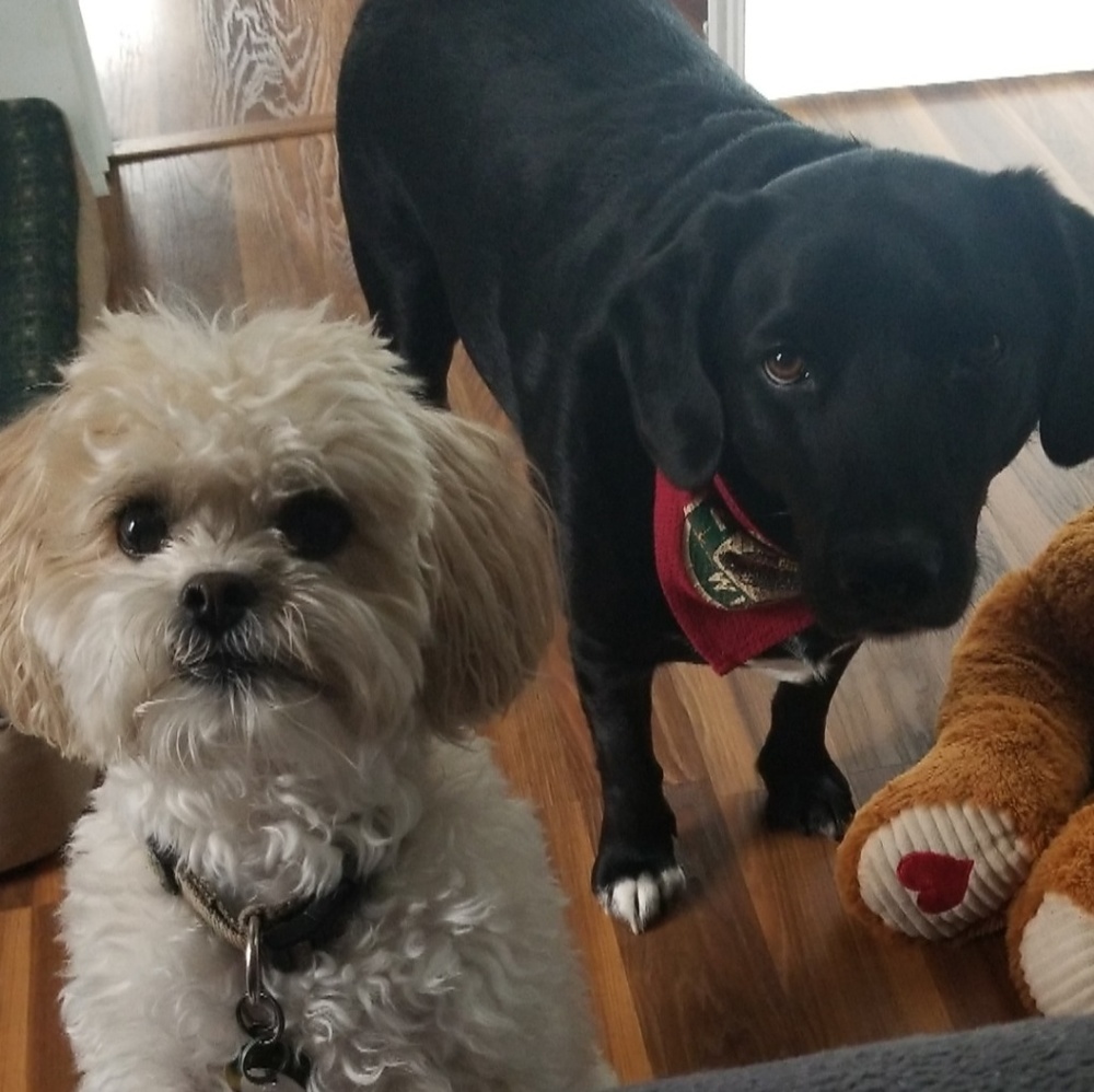 Meet your Posher, Paris